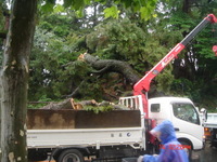 野次馬