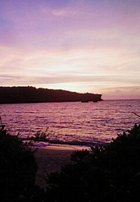 今年は行けませんでした・・・ 2010/12/09 18:02:06