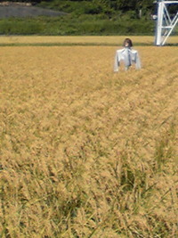ヒヤッ 2010/09/25 09:33:51