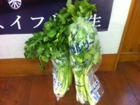 いただきました(^-^)/ 2011/03/04 15:42:56