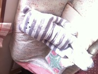 脱力(￣(工)￣) 2011/04/26 15:10:27