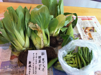 採れたて！ 2012/06/18 12:13:19