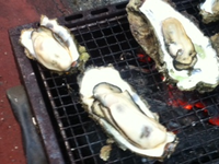 網焼き〜 2011/02/24 11:56:51