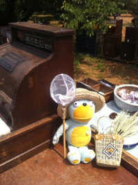 寿梅園さんSUNNYDAY① 2011/05/23 23:12:00