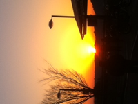 浜名湖SAなう。 2011/01/09 07:17:37