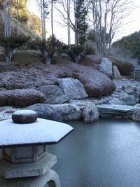 白銀の境内 その1 2011/01/17 19:17:33