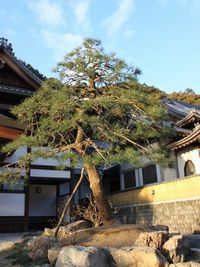 大がかりな模様替え 2011/01/31 00:32:33