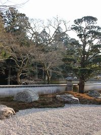 ほぼ完成しました・・・ 2011/02/07 22:01:19