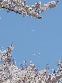 やっぱり、ひとが好き！ 2011/04/15 02:37:51