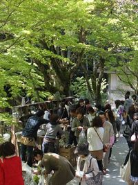 コトコト市、ありがとう！ 2011/04/26 00:42:05