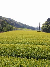 欣奏累遣　2 2011/05/05 22:33:47