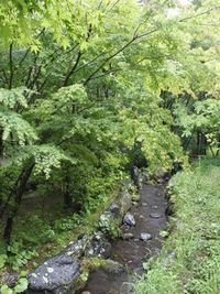 本日のホタル祭は中止です！ 2011/05/29 12:47:12