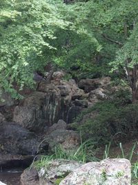 引っ越してきた御堂 2011/06/11 23:34:30