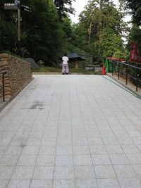 おマヌケなこと・・・ 2011/07/03 01:50:06