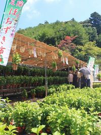 万灯祭ご報告②　厄除けほおずき市 2011/07/12 19:11:45