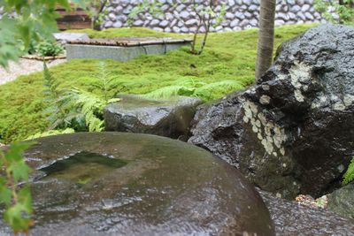 久しぶりの雨