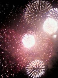 花と芥と・・・ 2011/08/07 22:09:08