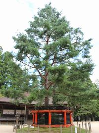 高野山壇上伽藍　番外編1 2011/09/11 11:05:43