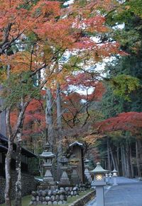 実はまだ・・・ 2010/12/08 00:43:27