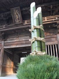 お正月の支度は着々と・・・ 2010/12/26 22:13:28