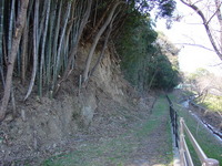 崖崩れを楽しむ