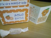とろける味の・・・