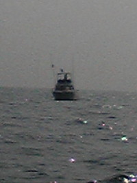 水面を走るカジキ 2010/08/01 08:13:41
