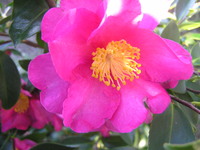 今年初教室 2011/01/06 08:08:23