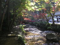 小国神社 2010/11/20 07:04:11