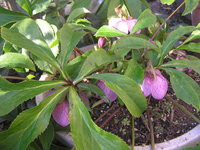 草が生える 2010/02/25 09:54:18