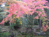 琵琶湖周辺旅行 2010/11/29 07:37:26