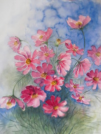 コスモスの花 2011/10/12 09:57:38