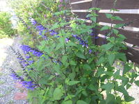 ホットしています。 2010/05/31 08:07:13