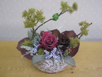 宝物増えた。 2010/02/01 16:51:57