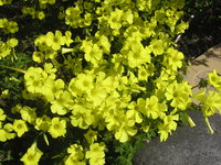 心も晴れやか！！ 2010/03/14 10:30:17