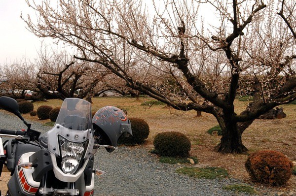 4/17(日)はSunny Day２