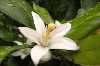 ☆幸せな休日☆