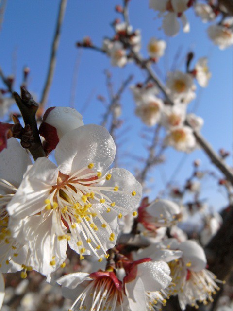 春春春