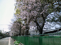 入学式 2010/04/07 08:07:00