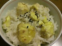 秋の…
