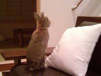今日はインディの… 2007/12/24 17:50:08