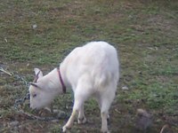 朝の… 2007/12/21 12:50:42