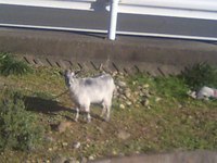 今朝の… 2008/01/25 09:23:19