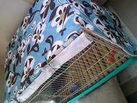 L*Tの… 2008/03/11 15:30:20
