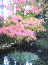 京都東福寺