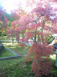 京都東福寺
