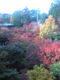 京都東福寺