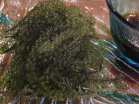 おもろ殿内