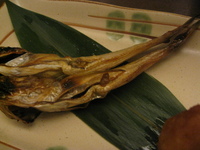 鳥のなめろう発見！