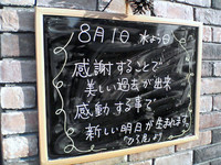 押し花の魅力。